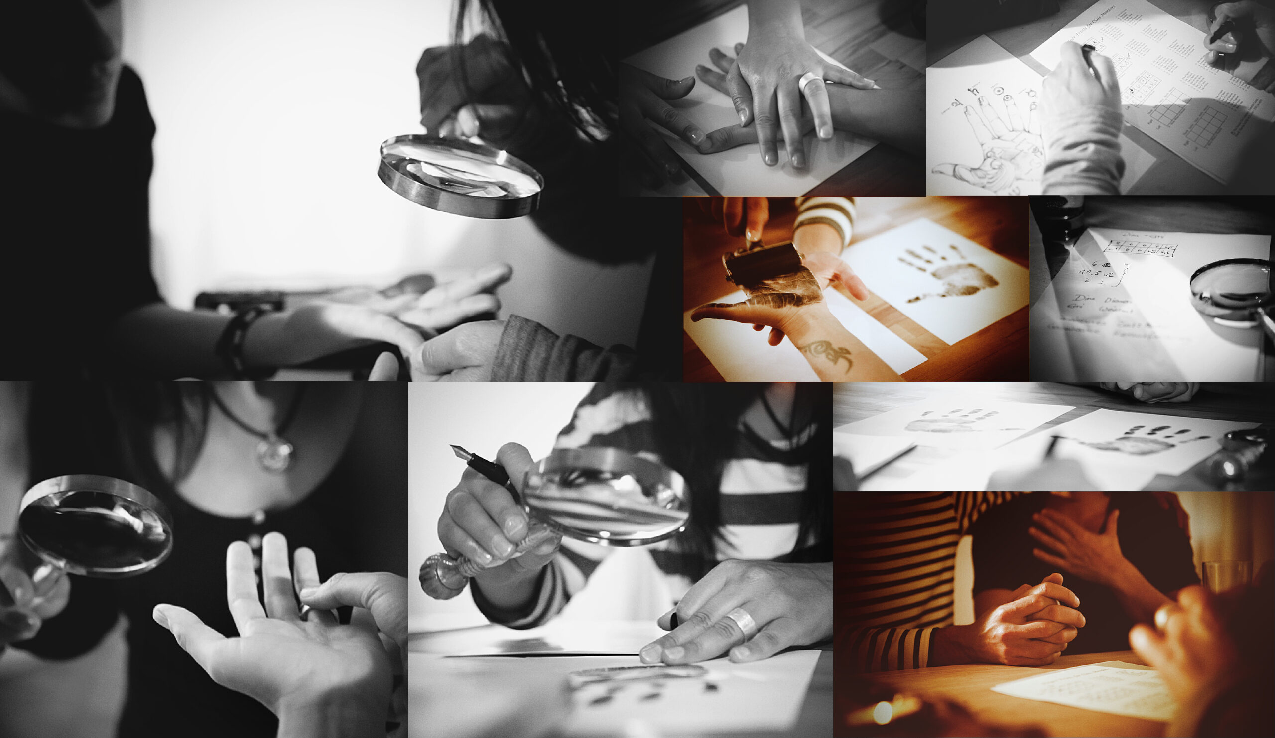 Professionelle Ausbildung in moderner, wissenschaftlicher Handanalyse