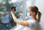 Fenster Reinigung