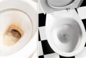 Bad- & WC-Reinigung vom Profi – Luxusreinigung