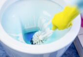 Bad- & WC-Reinigung vom Profi – Luxusreinigung