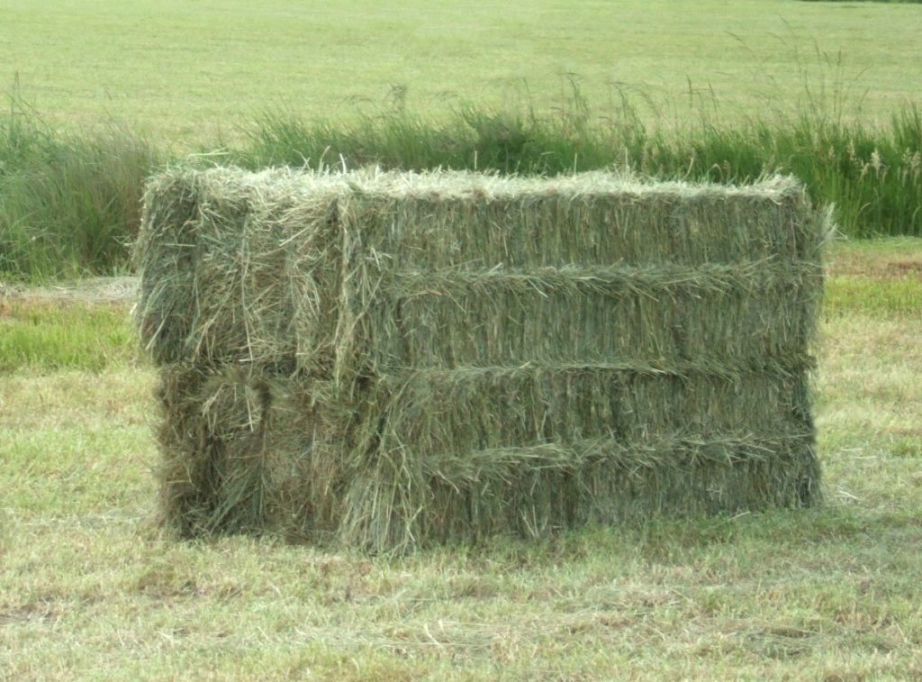Verkaufen BIO Stroh und Heu