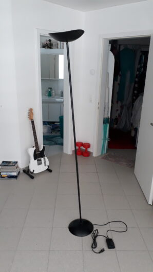 Gratis: Schwarze Stehlampe