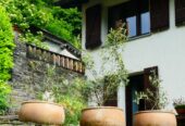 Naturnahe und elektrosmogarme Idylle
