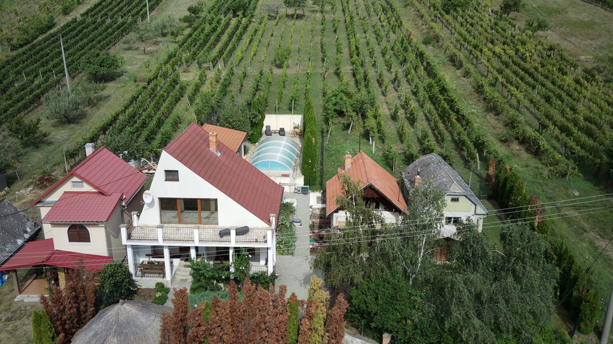Haus mit Nebenhäusern, Pool und Weinberg in Vinica / Slowakei